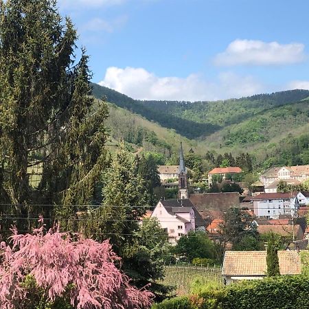 Art & Bretzel Apartman Ribeauvillé Kültér fotó