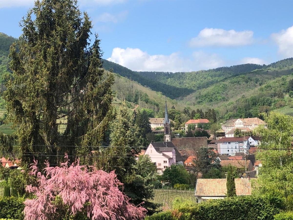 Art & Bretzel Apartman Ribeauvillé Kültér fotó